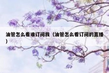 油管怎么看谁订阅我（油管怎么看订阅的直播）