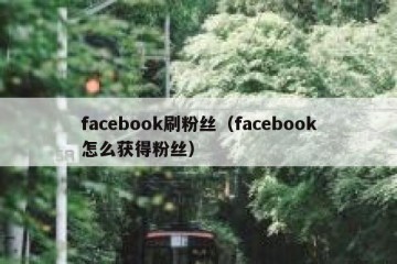facebook刷粉丝（facebook怎么获得粉丝）