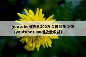 youtube播放量100万会得到多少钱（youtube1000播放量收益）