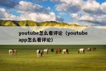 youtube怎么看评论（youtubeapp怎么看评论）