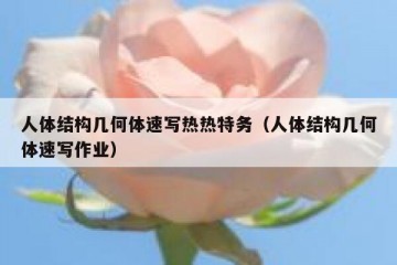 人体结构几何体速写热热特务（人体结构几何体速写作业）