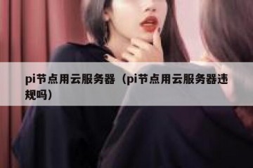 pi节点用云服务器(pi节点用云服务器违规吗)