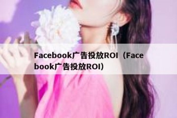 Facebook广告投放ROI（Facebook广告投放ROI）
