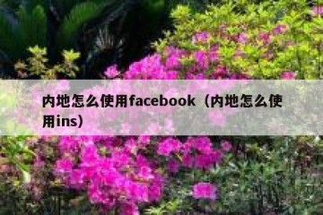 内地怎么使用facebook（内地怎么使用ins）