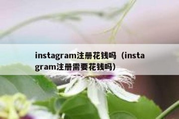 instagram注册花钱吗（instagram注册需要花钱吗）
