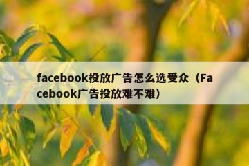 facebook投放广告怎么选受众（Facebook广告投放难不难）
