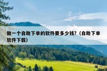 做一个自助下单的软件要多少钱?（自助下单软件下载）