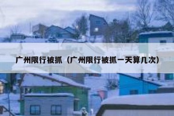 广州限行被抓（广州限行被抓一天算几次）