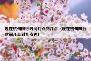 现在杭州限行时间几点到几点（现在杭州限行时间几点到几点钟）