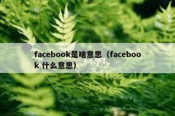 facebook是啥意思（facebook 什么意思）