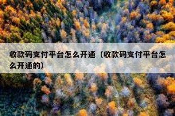 收款码支付平台怎么开通（收款码支付平台怎么开通的）