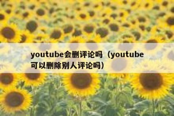youtube会删评论吗（youtube可以删除别人评论吗）