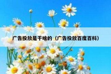 广告投放是干啥的（广告投放百度百科）