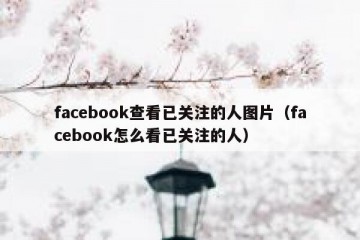 facebook查看已关注的人图片（facebook怎么看已关注的人）