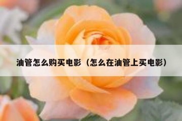 油管怎么购买电影（怎么在油管上买电影）