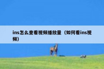 ins怎么查看视频播放量（如何看ins视频）