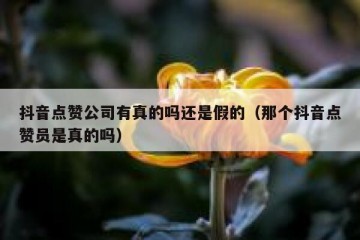 抖音点赞公司有真的吗还是假的（那个抖音点赞员是真的吗）