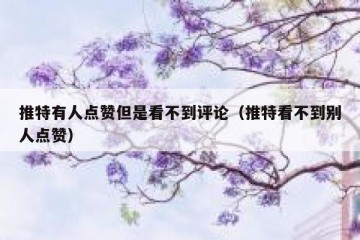 推特有人点赞但是看不到评论（推特看不到别人点赞）