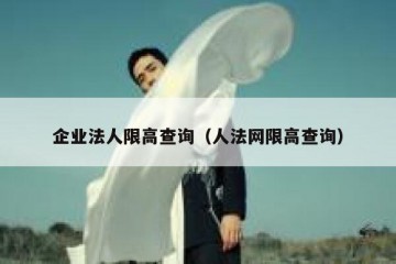 企业法人限高查询（人法网限高查询）