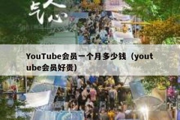 YouTube会员一个月多少钱（youtube会员好贵）