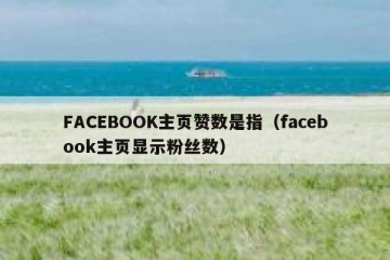 FACEBOOK主页赞数是指（facebook主页显示粉丝数）