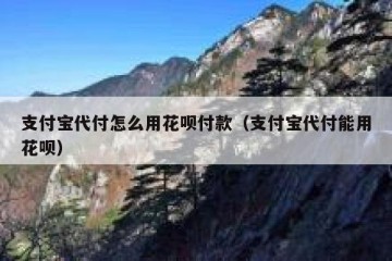 支付宝代付怎么用花呗付款（支付宝代付能用花呗）
