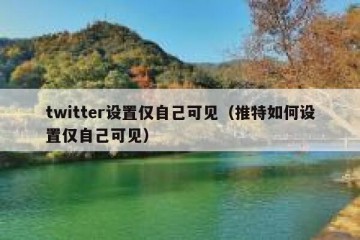 twitter设置仅自己可见（推特如何设置仅自己可见）