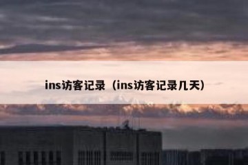 ins访客记录（ins访客记录几天）