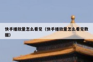 快手播放量怎么看见（快手播放量怎么看见数据）