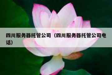四川服务器托管公司（四川服务器托管公司电话）