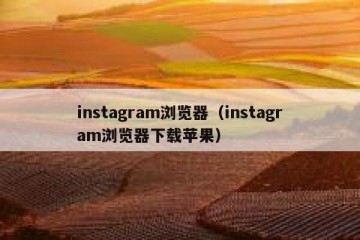 instagram浏览器（instagram浏览器下载苹果）