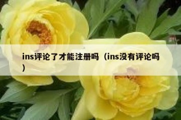ins评论了才能注册吗（ins没有评论吗）