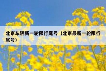 北京车辆新一轮限行尾号（北京最新一轮限行尾号）