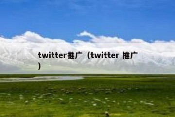 twitter推广（twitter 推广）