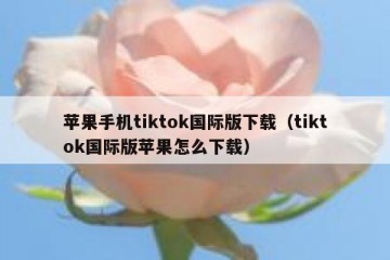 苹果手机tiktok国际版下载（tiktok国际版苹果怎么下载）