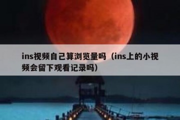 ins视频自己算浏览量吗（ins上的小视频会留下观看记录吗）