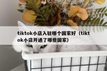 tiktok小店入驻哪个国家好（tiktok小店开通了哪些国家）