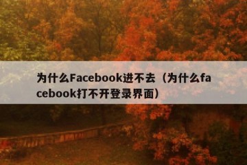 为什么Facebook进不去（为什么facebook打不开登录界面）