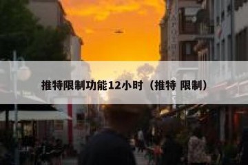 推特限制功能12小时（推特 限制）