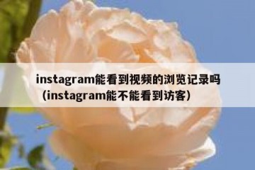 instagram能看到视频的浏览记录吗（instagram能不能看到访客）