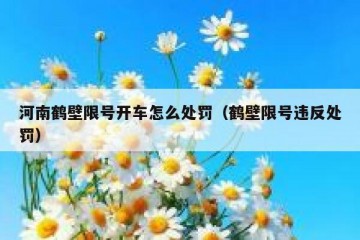 河南鹤壁限号开车怎么处罚（鹤壁限号违反处罚）