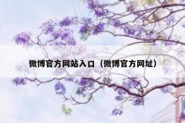 微博官方网站入口（微博官方网址）