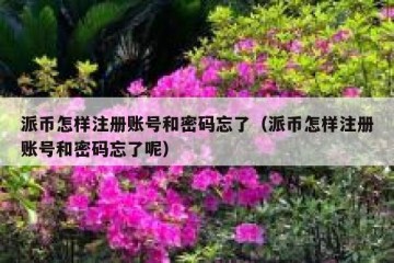 派币怎样注册账号和密码忘了（派币怎样注册账号和密码忘了呢）