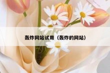 轰炸网站试用（轰炸的网站）