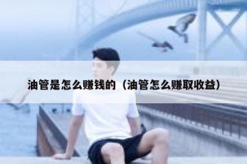 油管是怎么赚钱的（油管怎么赚取收益）