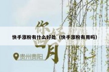 快手涨粉有什么好处（快手涨粉有用吗）
