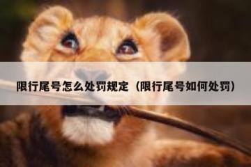 限行尾号怎么处罚规定（限行尾号如何处罚）