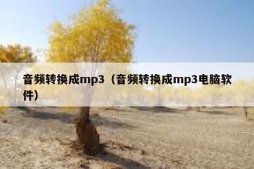 音频转换成mp3（音频转换成mp3电脑软件）