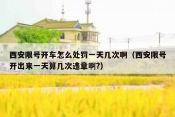 西安限号开车怎么处罚一天几次啊（西安限号开出来一天算几次违章啊?）
