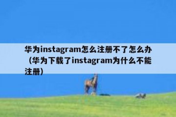 华为instagram怎么注册不了怎么办（华为下载了instagram为什么不能注册）